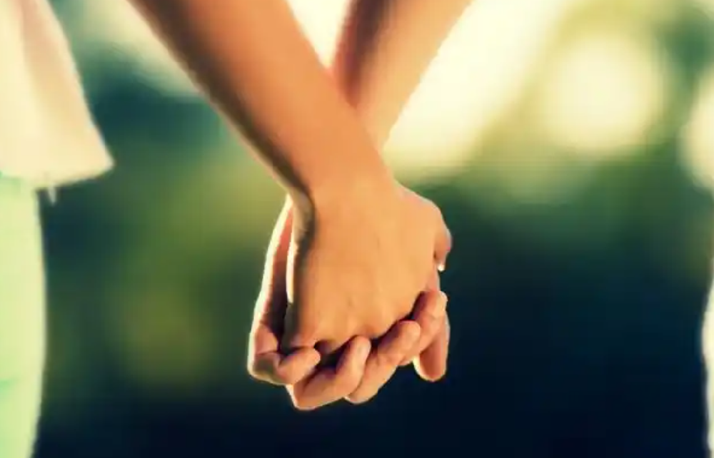 上海最好的侦探公司：树状月季为何不建议养