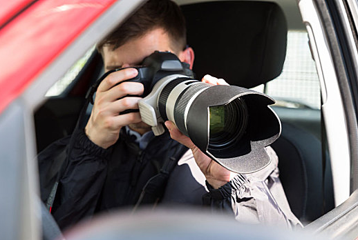 上海市婚姻外遇侦探：嫁接月季用什么树桩最好